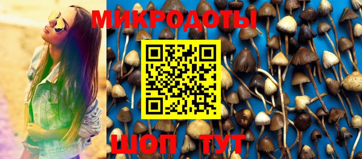 Обнинск  Галлюциногенные грибы GOLDEN TEACHER  купить закладку  Вход с VPN 